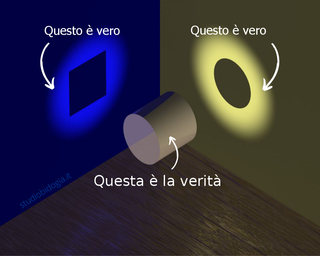 ricerca della verità